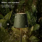 Akku-Tischleuchte Nuindie pocket 210mm tannengrün