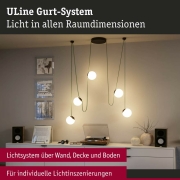 ULine Zubehör Gurt Halter  Schwarz