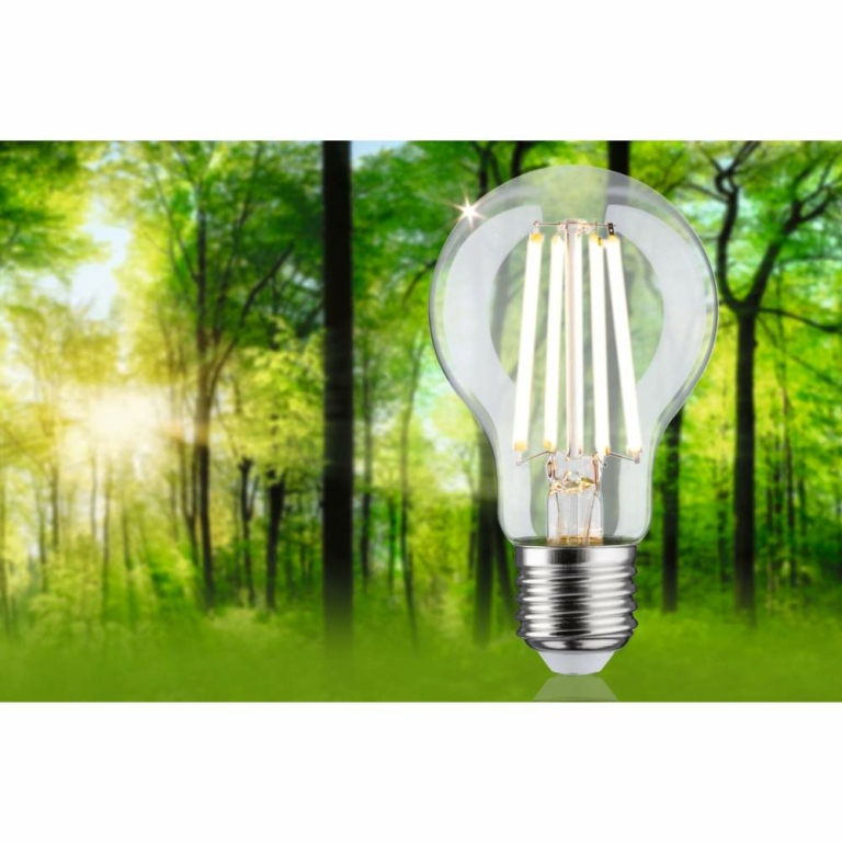 Paulmann Eco-Line Filament 230V LED Birne E27 Einzelleuchte  840lm 4,5W 3000K dimmbar Klar