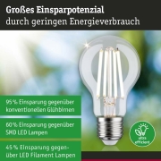 Eco-Line Filament 230V LED Birne E27 Einzelleuchte  840lm 4,5W 4000K dimmbar Klar