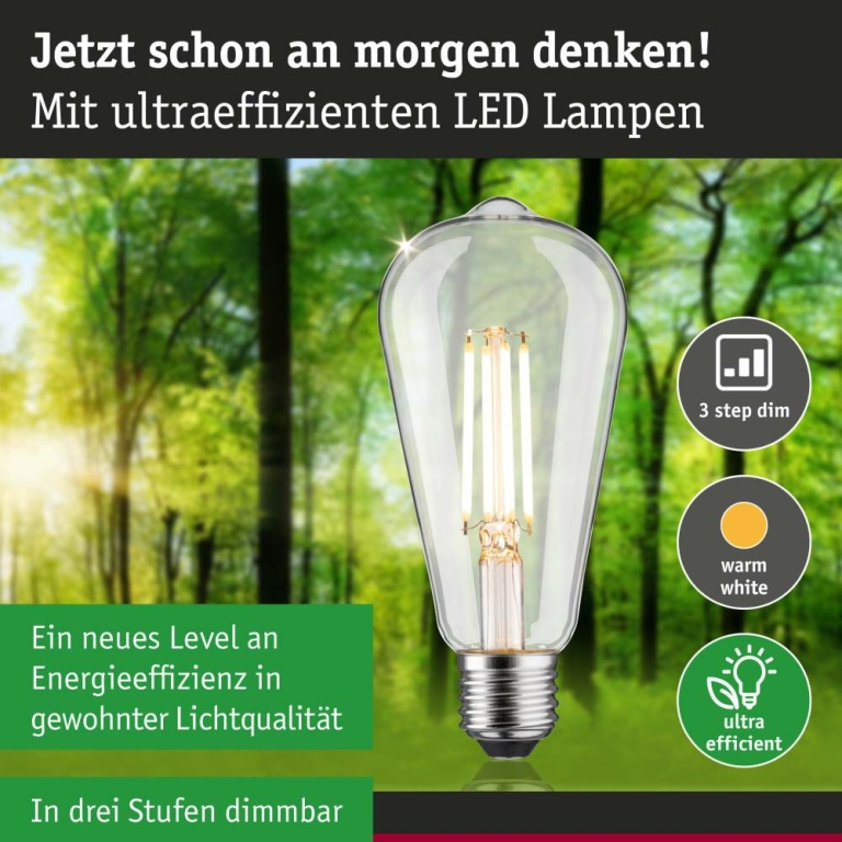 Paulmann Eco-Line Filament 230V LED Kolben ST64 E27   806lm 4,3W 3000K dimmbar Klar