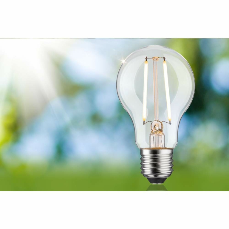 Paulmann Eco-Line Filament 230V LED Birne E27 Einzelleuchte  470lm 2,5W 3000K dimmbar Klar