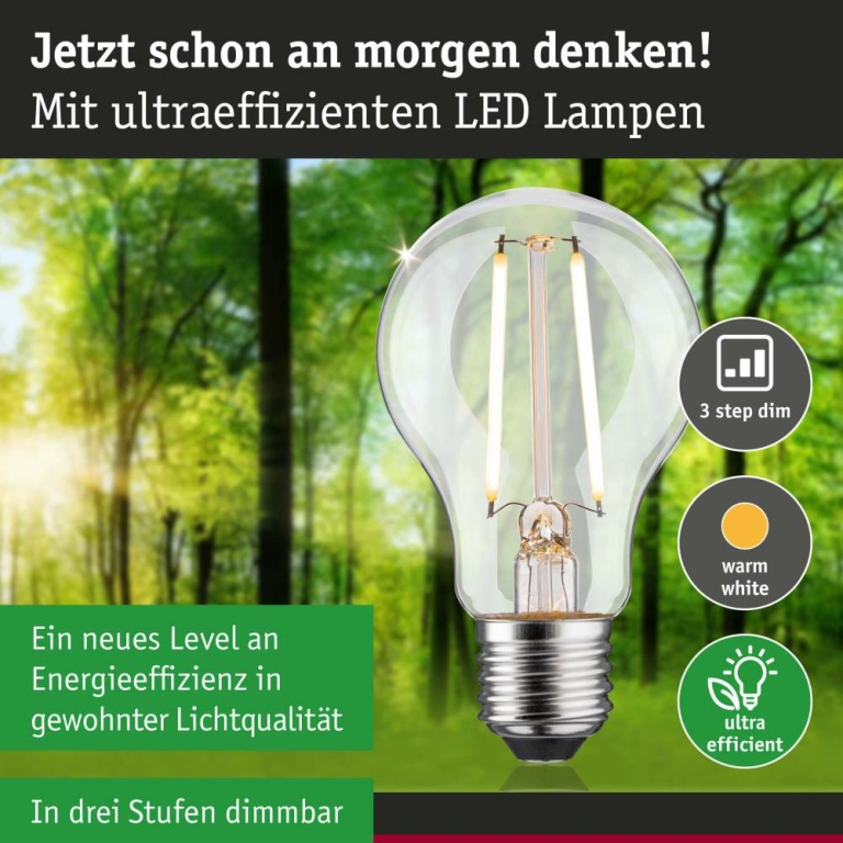 Paulmann Eco-Line Filament 230V LED Birne E27 Einzelleuchte  470lm 2,5W 3000K dimmbar Klar
