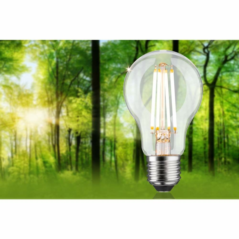 Paulmann Eco-Line Filament 230V LED Birne E27 Einzelleuchte  806lm 4,3W 3000K dimmbar Klar