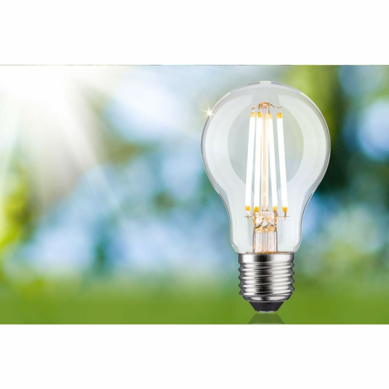 Paulmann Eco-Line Filament 230V LED Birne E27 Einzelleuchte  806lm 4,3W 3000K dimmbar Klar