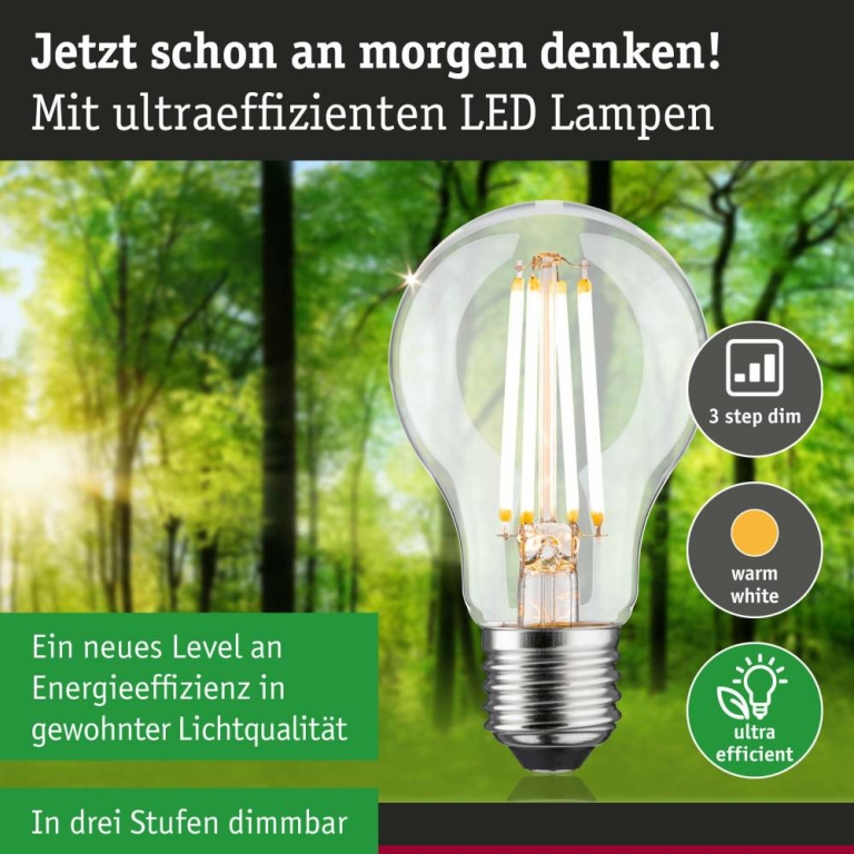 Paulmann Eco-Line Filament 230V LED Birne E27 Einzelleuchte  806lm 4,3W 3000K dimmbar Klar