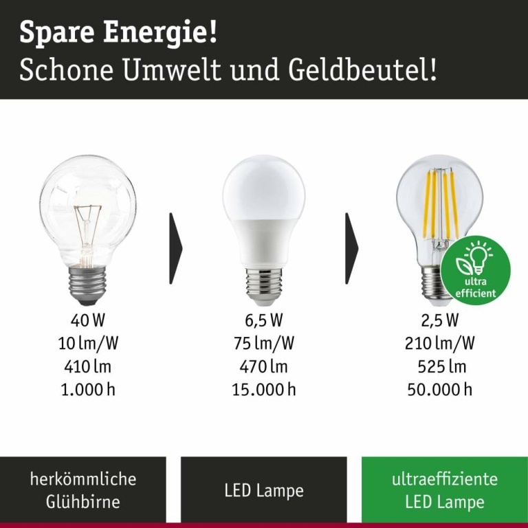 Paulmann Eco-Line Filament 230V LED Birne E27 Einzelleuchte  806lm 4,3W 3000K dimmbar Klar