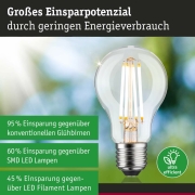 Eco-Line Filament 230V LED Birne E27 Einzelleuchte  806lm 4,3W 3000K dimmbar Klar