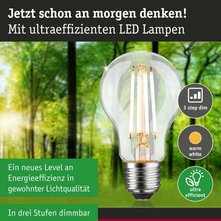 Paulmann Eco-Line Filament 230V LED Birne E27 Einzelleuchte  1521lm 8,2W 3000K dimmbar Klar