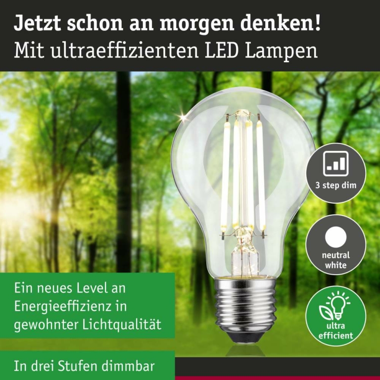 Paulmann Eco-Line Filament 230V LED Birne E27 Einzelleuchte  806lm 4,3W 4000K dimmbar Klar