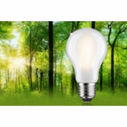 Eco-Line Filament 230V LED Birne E27 Einzelleuchte  470lm 2,5W 3000K dimmbar Matt
