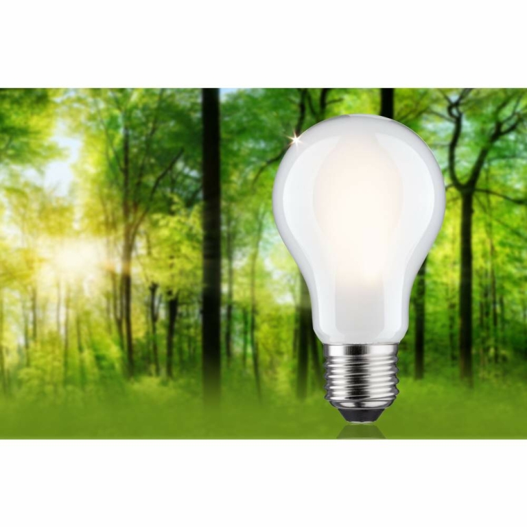 Paulmann Eco-Line Filament 230V LED Birne E27 Einzelleuchte  806lm 4,3W 3000K dimmbar Matt