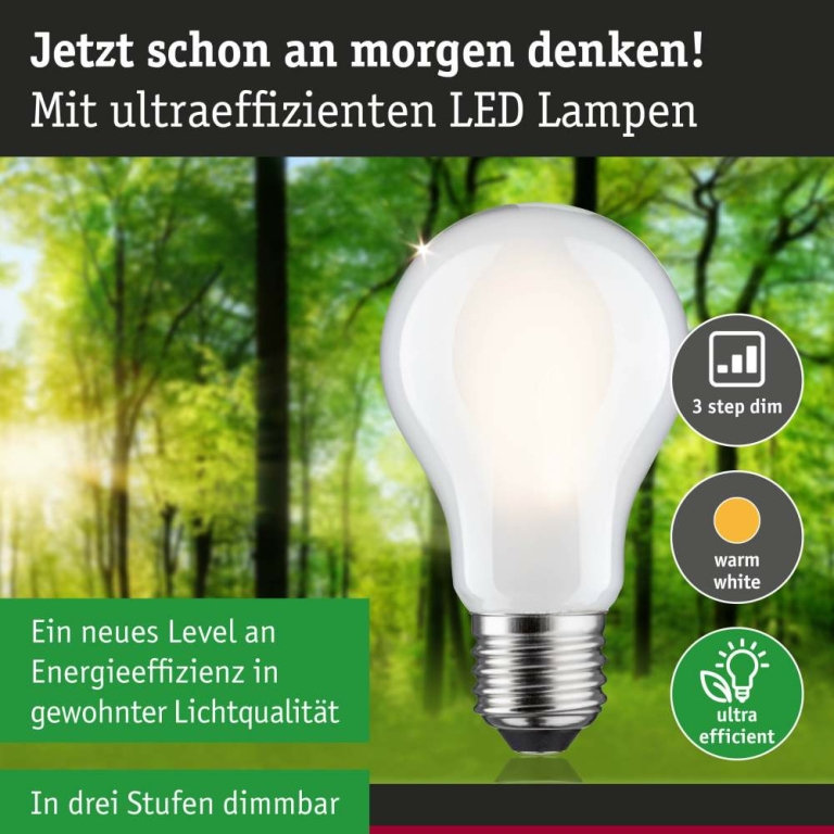 Paulmann Eco-Line Filament 230V LED Birne E27 Einzelleuchte  806lm 4,3W 3000K dimmbar Matt