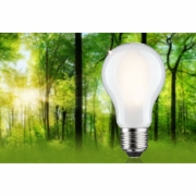 Eco-Line Filament 230V LED Birne E27 Einzelleuchte  806lm 4,3W 3000K dimmbar Matt
