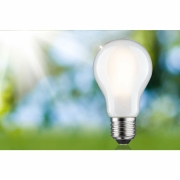 Eco-Line Filament 230V LED Birne E27 Einzelleuchte  1055lm 5,7W 3000K dimmbar Matt