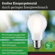 Eco-Line Filament 230V LED Birne E27 Einzelleuchte  1055lm 5,7W 3000K dimmbar Matt