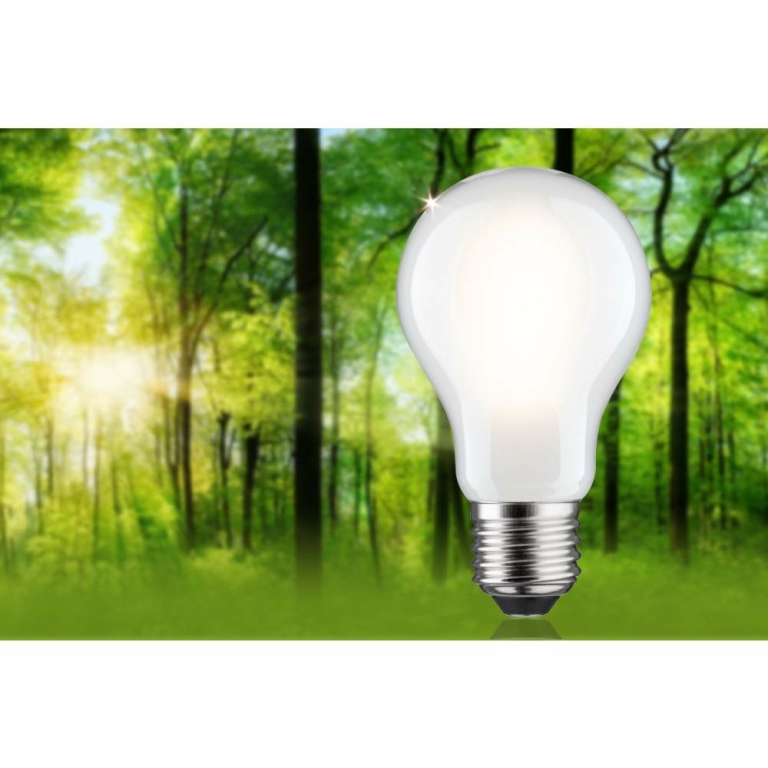 Paulmann Eco-Line Filament 230V LED Birne E27 Einzelleuchte  1521lm 8,2W 3000K dimmbar Matt