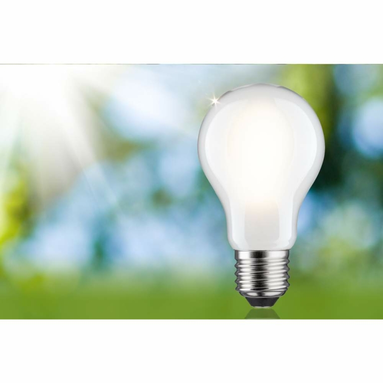 Paulmann Eco-Line Filament 230V LED Birne E27 Einzelleuchte  1521lm 8,2W 3000K dimmbar Matt