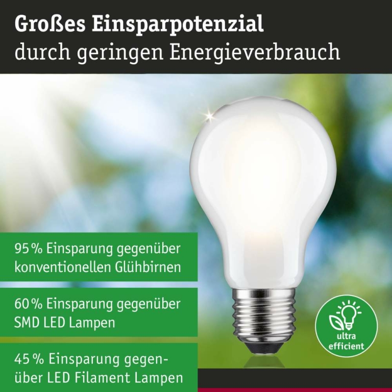 Paulmann Eco-Line Filament 230V LED Birne E27 Einzelleuchte  1521lm 8,2W 3000K dimmbar Matt