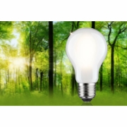 Eco-Line Filament 230V LED Birne E27 Einzelleuchte  1521lm 8,2W 3000K dimmbar Matt