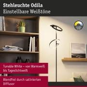 LED Stehleuchte Odila  Tunable White 2x1200lm 2x10,4W Schwarz matt, Chrom