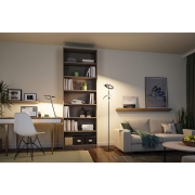 LED Schreibtischleuchte Odila  Tunable White 650lm 10,4W Schwarz matt, Chrom