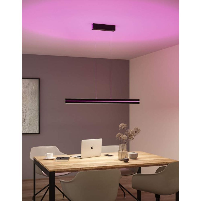 Paulmann LED Pendelleuchte Raiko RGBW+  2300lm / 370lm 19W / 6W Schwarz