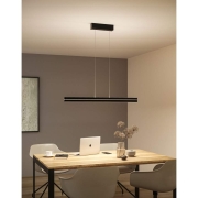 LED Pendelleuchte Raiko RGBW+  2300lm / 370lm 19W / 6W Schwarz