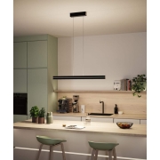 LED Pendelleuchte Raiko RGBW+  2300lm / 370lm 19W / 6W Schwarz