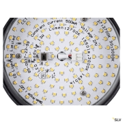 GRIP! FLAT, 48V Spot, DALI, rund, 2700/3000 K, 14.5 W, schwarz / gold