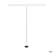 LIGHT EYE® 2.0, 48V Pendelleuchte, DALI, Pendellänge 200 cm, 2700K, 30°, weiß / schwarz