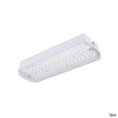 SLV P-LIGHT, Wand- und Deckenaufbauleuchte, rechteckig, 6000K, 5.2 W, weiß / transparent