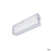 P-LIGHT, Wand- und Deckenaufbauleuchte, rechteckig, 6000K, 5.2 W, weiß / transparent
