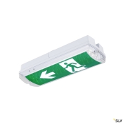 P-LIGHT, Wand- und Deckenaufbauleuchte, rechteckig, 6000K, 5.2 W, weiß / transparent