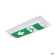 P-LIGHT, Wand- und Deckenaufbauleuchte, rechteckig, 6000K, 5.2 W, weiß / transparent