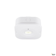 P-LIGHT, Deckenaufbauleuchte, quadratisch, 6000K, 1.2 W, weiß