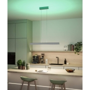 LED Pendelleuchte Raiko RGBW+ dimmbar 1400lm / 240lm 19W / 6W Silber matt