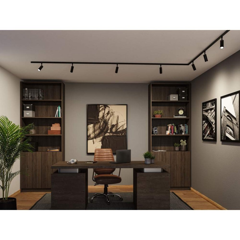 Paulmann URail Schienenspot 3-Step-Dim Tubo Einzelspot  200lm 4W 2700 - 4000K dimmbar 230V Schwarz matt