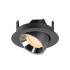 NUMINOS® GIMBLE XS, Deckeneinbauleuchte schwarz/chrom 2700 K 20°