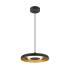 MOTUNA, PD, PHASE, Pendelleuchte, 2700 K, 10 W, 130°, schwarz / goldfarben