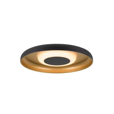 SLV MOTUNA, CW, PHASE, Wand- und Deckenaufbauleuchte, rund, 2700 K, 10 W, 130°, schwarz / goldfarben
