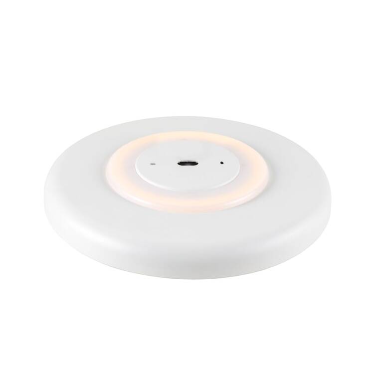 SLV MOTUNA, CW, PHASE, Wand- und Deckenaufbauleuchte, rund, 2700 K, 10 W, 130°, weiß / goldfarben