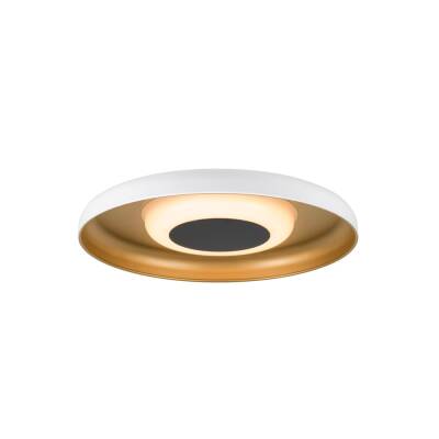 SLV MOTUNA, CW, PHASE, Wand- und Deckenaufbauleuchte, rund, 2700 K, 10 W, 130°, weiß / goldfarben