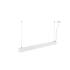 GLENOS® 2.0, PD, 1,2M, DALI, UGR19, Pendelleuchte, Pendellänge: 200 cm, 4000 K, 38 W, 80°, weiß