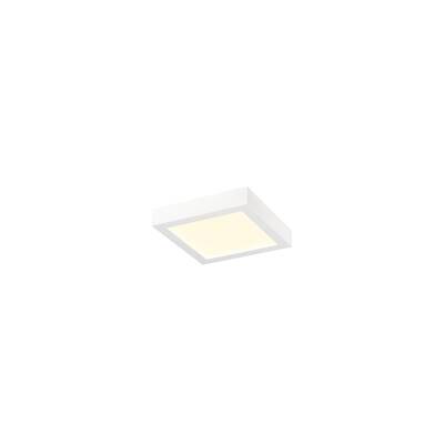SLV SENSER 2.0 24, CW, eckig, PHASE, Wand- und Deckenaufbauleuchte, 3000 K / 4000 K, 23 W, 90°, weiß