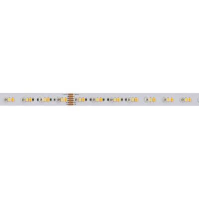Deko-Light Deko-Light, LED Stripe, Long Run, SMD, 48V-10W, RGB+2700-6500 K, 5m, Lichtstrom 1m: 800 lm, Spannungskonstant, Leistungsaufnahme 1m: 10.0 W, 5000 mm, EEI: E, IP 20