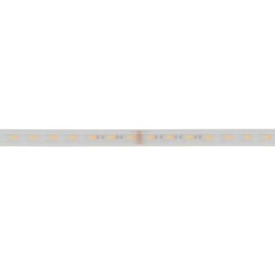 Deko-Light Deko-Light, LED Stripe, Long Run, SMD, 48V-10W, RGB+2700-6500 K, 50m, Silikon, Lichtstrom 1m: 750 lm, Spannungskonstant, Leistungsaufnahme 1m: 10.0 W, 50000 mm, EEI: F, IP 67